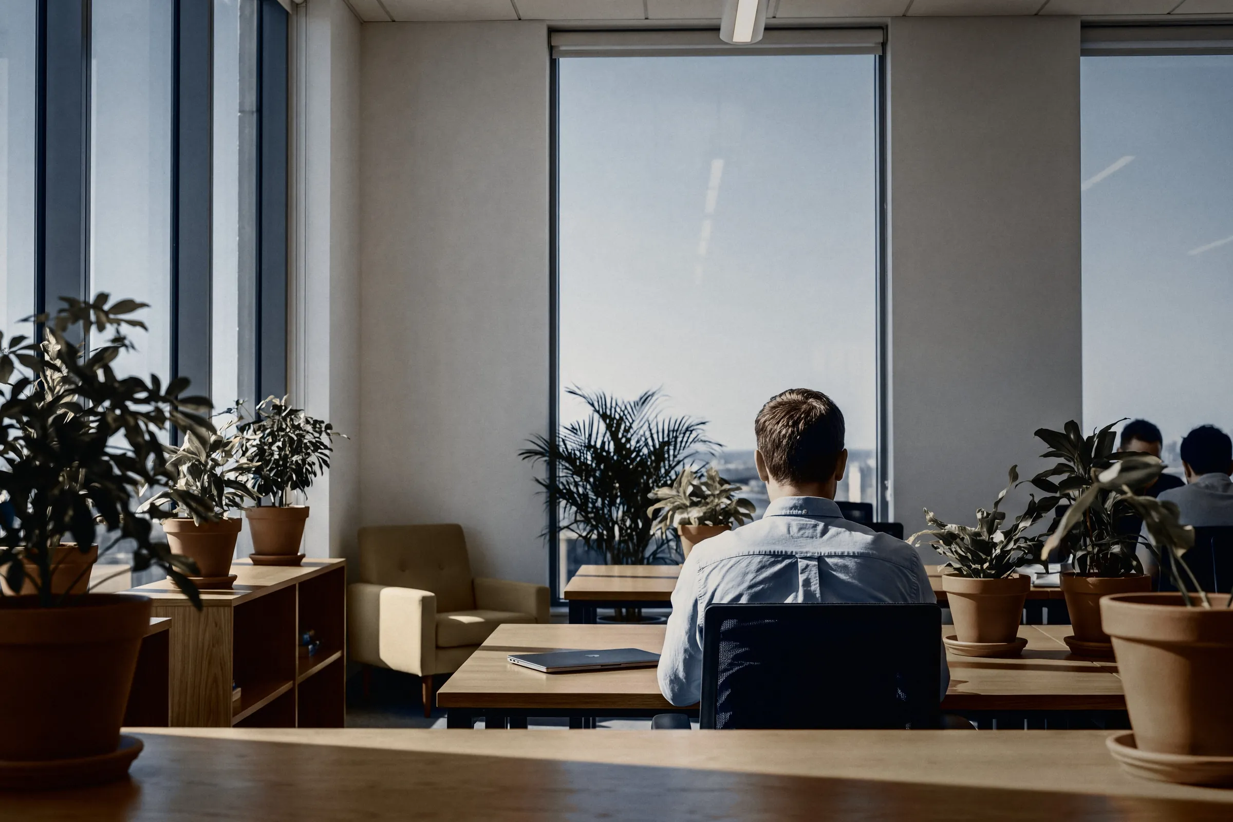 A buyer at a desk by a tall window, potted plants along the room